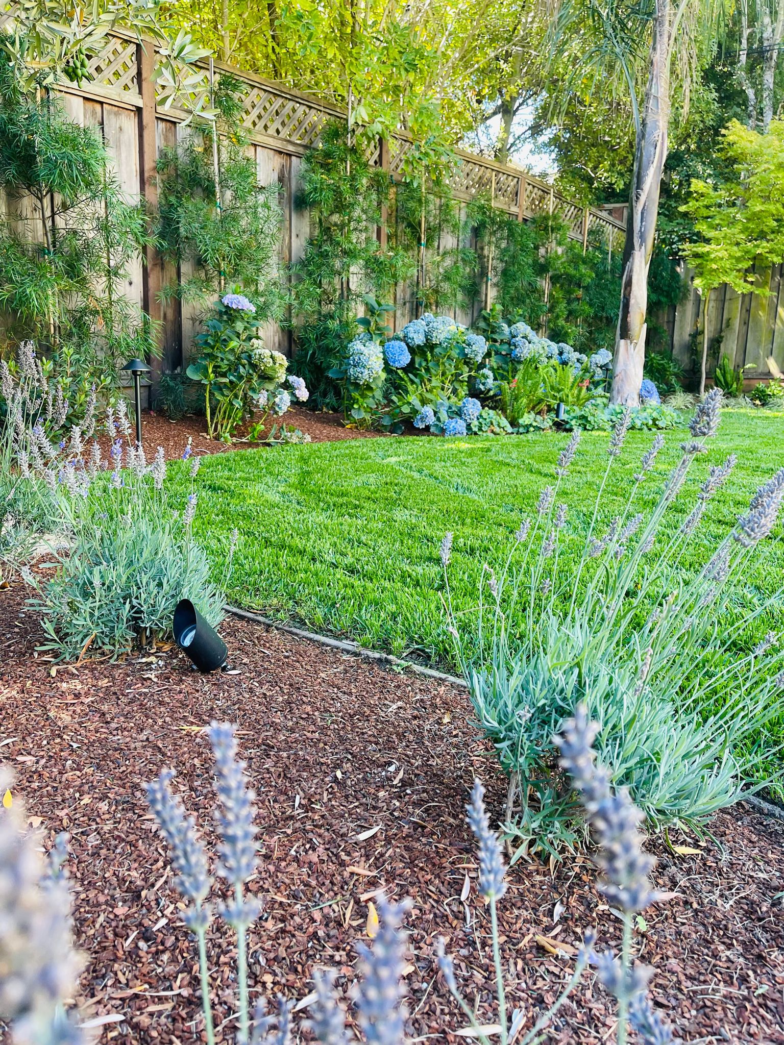 Landscape Corp ROMAN LANDSCAPE – The best experience in the creation, renovation and ...